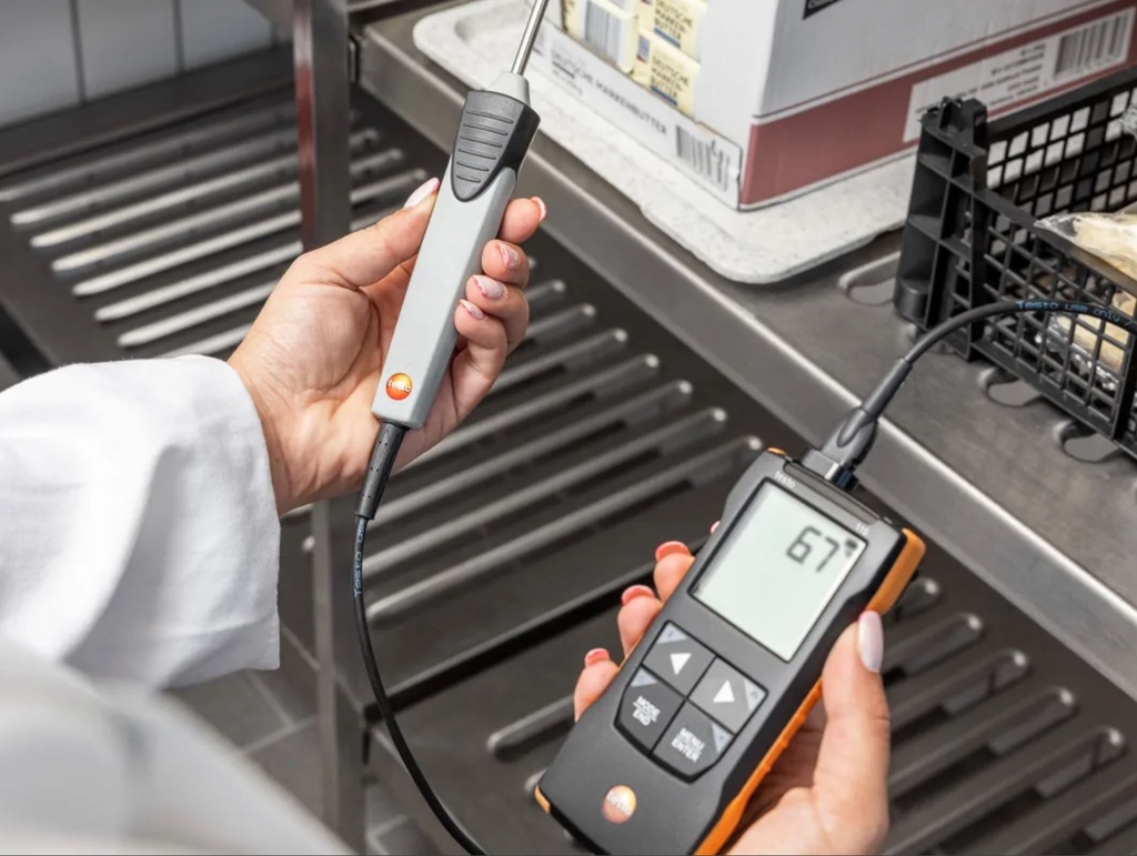 testo 110 NTC and Pt100 temperature measuring instrument with App connection