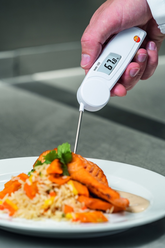 testo 103 Fold-away Thermometer